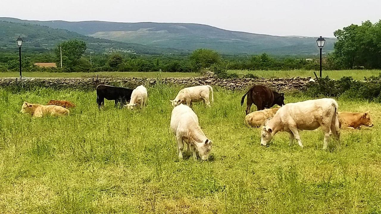 Casa Rural El Remolon Pinuecar Zewnętrze zdjęcie