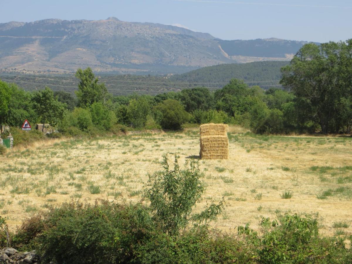 Casa Rural El Remolon Pinuecar Zewnętrze zdjęcie